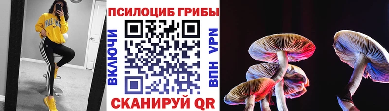 что такое наркотик  Ленинск  Галлюциногенные грибы GOLDEN TEACHER 